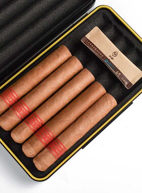 灰吧/HUIBA雪茄保湿袋69包烟草保湿条8g小巧便携双向恒湿保湿雪茄