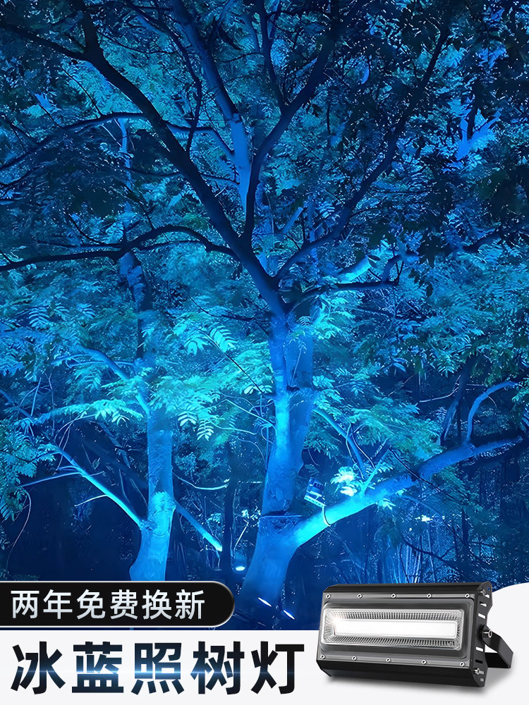 冰蓝色泛光灯湖蓝色聚光灯户外防水Led树灯户外洗墙灯建筑照明