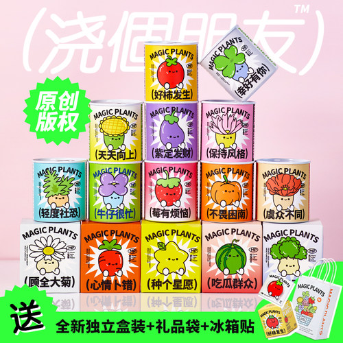 罐头植物冰箱贴好养绿植盆栽礼物