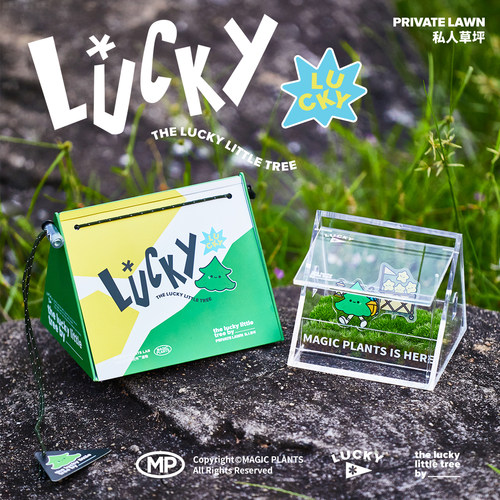 原创露营风私人草坪苔藓微景观