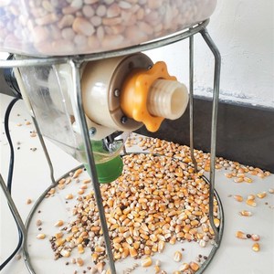 信鸽观赏鸽鸽定时定量养鸡全自y动喂食器鸭鹅投料机定时投喂料散