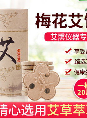 五年艾灸随身家用加热仪器熏蒸