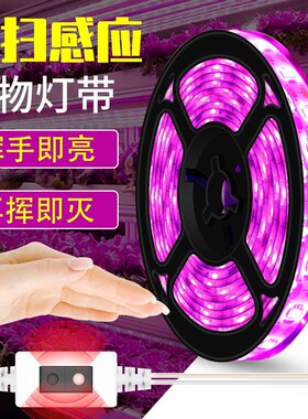 le植物灯带usb植物生长灯带2835植物补光灯带5v全光谱植物补光灯