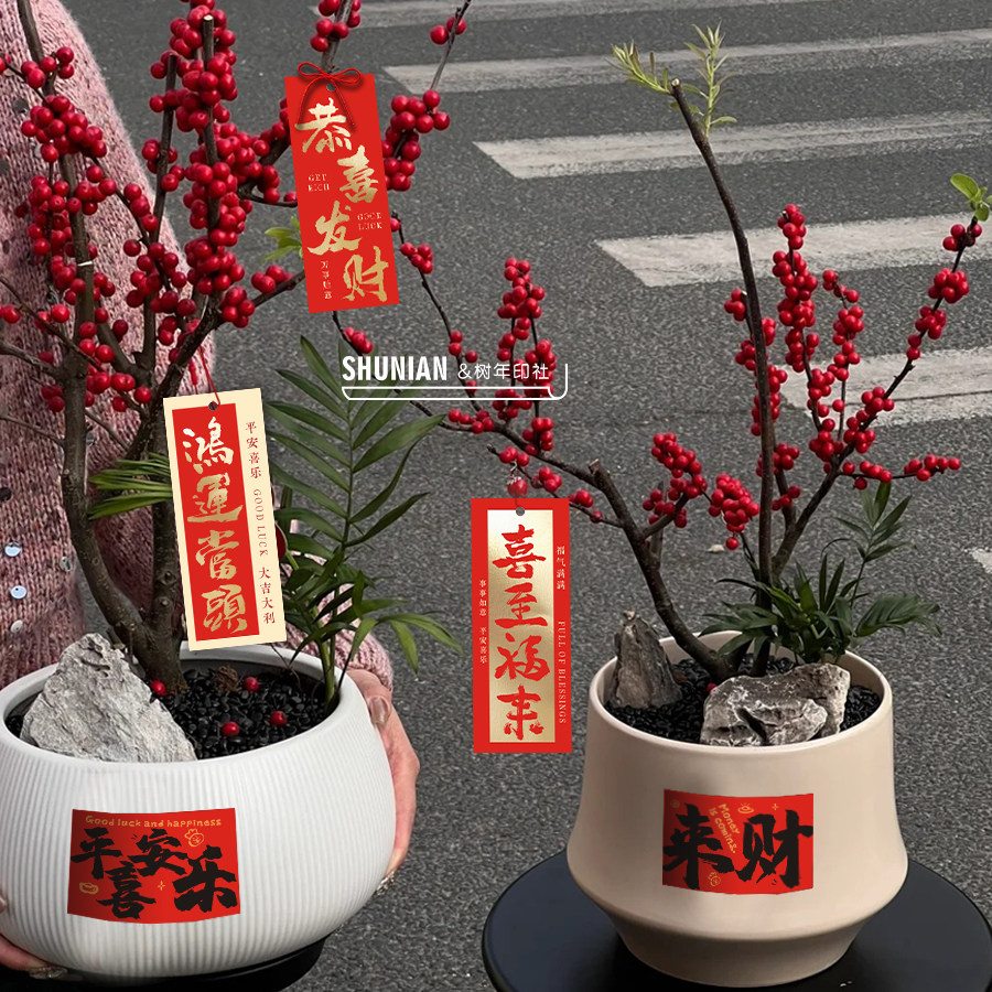 花盆贴纸新年快乐贺卡盆栽标签吊牌兰花挂件植物装饰蝴蝶兰小卡片,文具电教/文化用品/商务用品,贺卡/明信片,淘宝优惠券,粉丝福利购,淘宝优惠卷