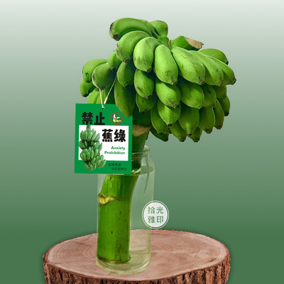 禁止焦虑香蕉卡片拒绝蕉绿卡片