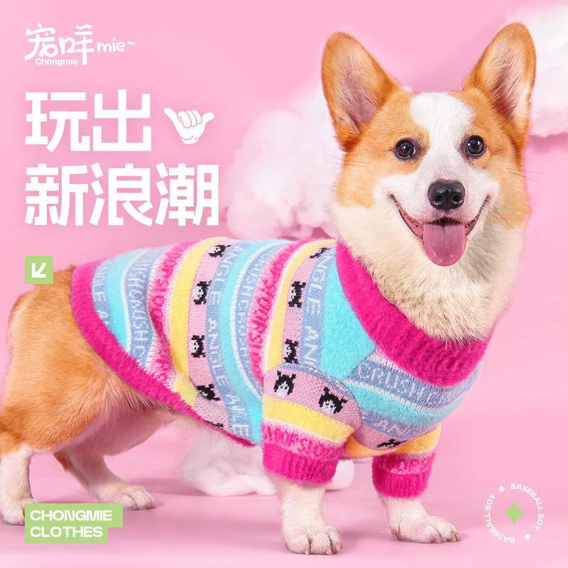 宠物柯基衣服泰迪狗狗衣服秋冬