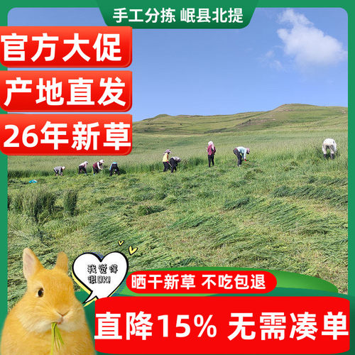 26年新提摩西草精品兔子干草荷兰猪猪粮龙猫牧草晒干北提岷县500g