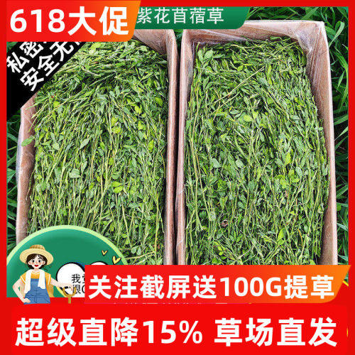 7A新26年精品紫花苜蓿草烘干草兔子草龙猫荷兰猪豚鼠幼兔牧草饲料