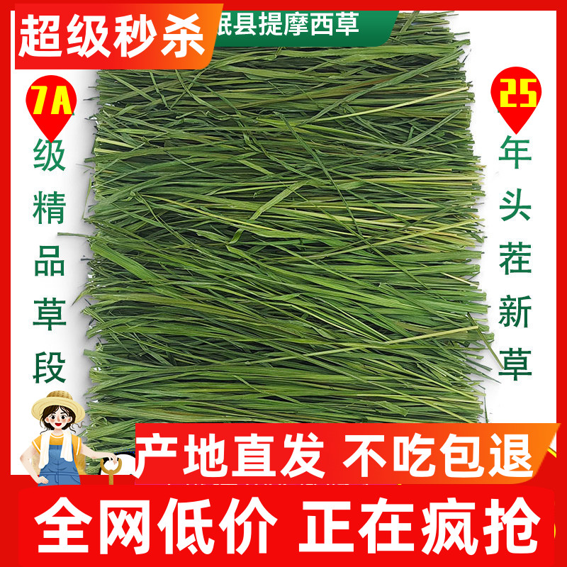 7A级25年新精品烘干提摩西草段兔子草龙猫荷兰猪牧草岷县北提500g