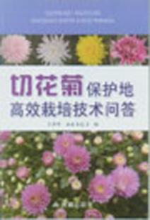 【正版】切花菊保护地高效栽培技术问答苏胜举金盾出版社