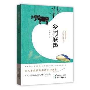 【正版】乡村底色白庆国花山文艺出版社