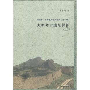 社9787561853054 大型考古遗址保护单霁翔天津大学出版 正版
