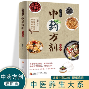 社 正版 中药方剂 轻图典臧俊岐黑龙江科学技术出版
