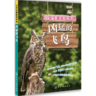 【正版】凶猛的飞鸟-小学生趣味科学课王娟化学工业出版社
