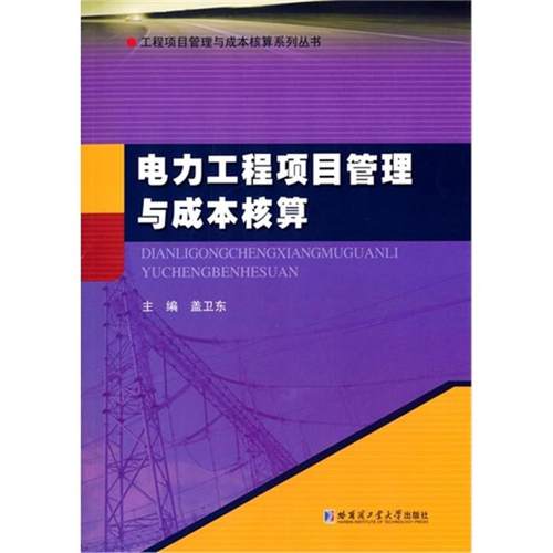 【正版】电力工程项目管理与成本核算盖卫东主编