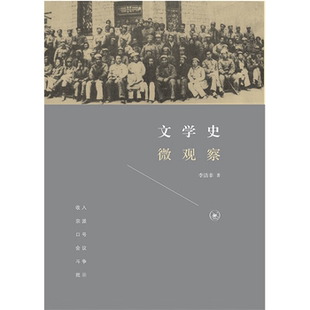 【正版】文学史微观察李洁非生活·读书·新知三联书店
