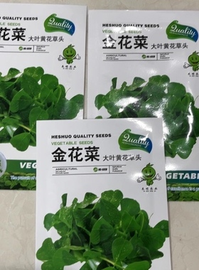 金花菜种子上海草头种子大叶黄花草头种菜籽三叶草秋季播菜种孑