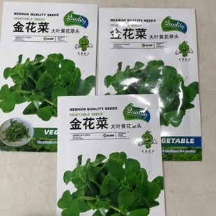 金花菜种子上海草头种子大叶黄花草头种菜籽三叶草秋季播菜种孑