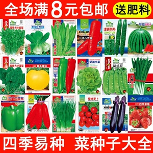 番茄种子迎来新发展：品种多样与品质升级