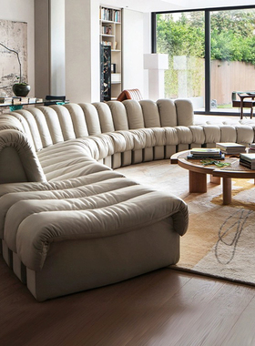 瑞士De Sede DS-600蛇形真皮意式客厅大平层别墅异型模块中古沙发