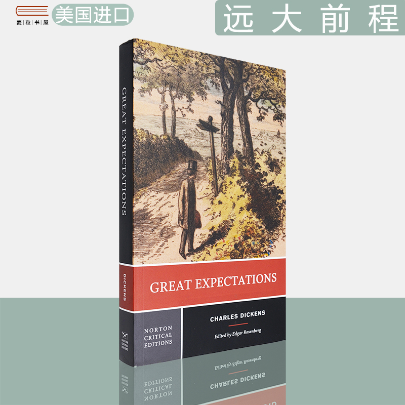 现货远大前程诺顿文学评论系列