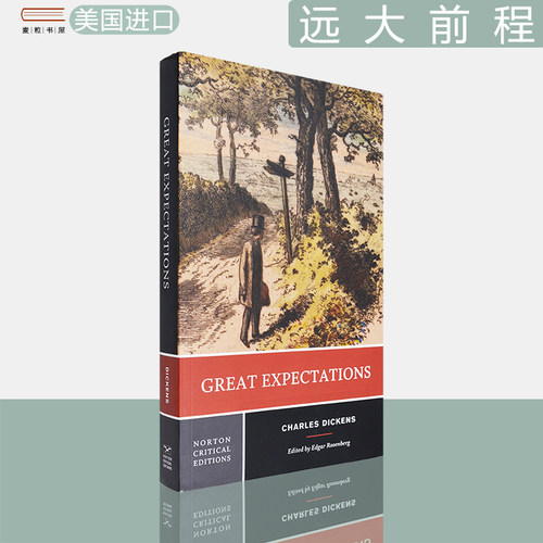 现货远大前程诺顿文学评论系列