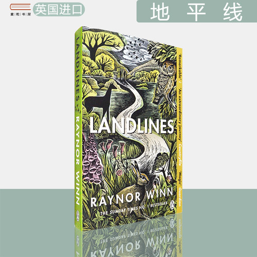 现货原版地面线雷诺·温恩畅销书