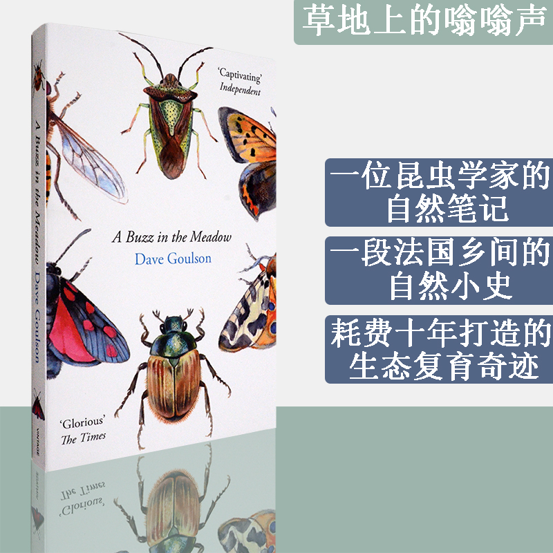 【现货】Buzz in the Meadow 草地上的嗡嗡声 Dave Goulson 戴夫·古尔森 正版进口 英文原版书