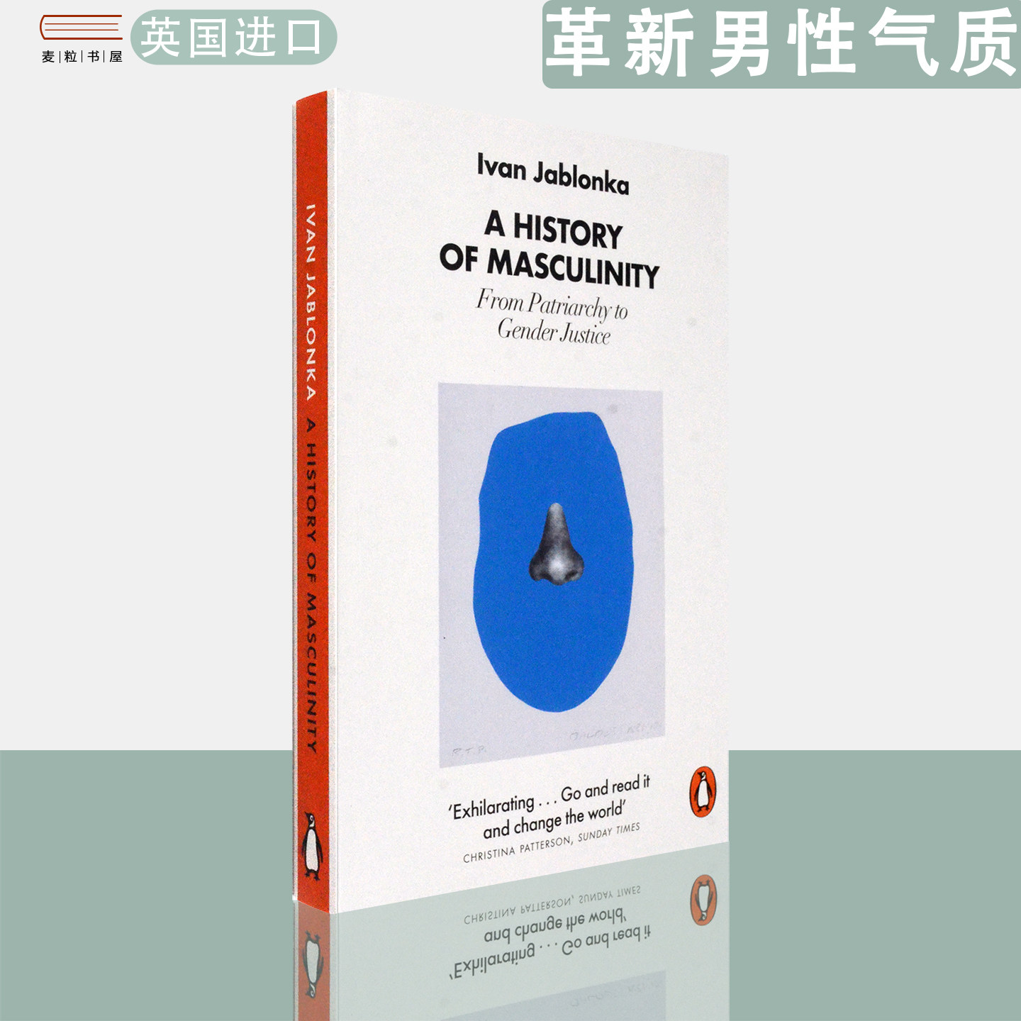 【现货】英文原版 伊凡·雅布隆卡 革新男性气质 A History of Masculinity: From Patriarchy to Gender Justice Ivan Jablonka