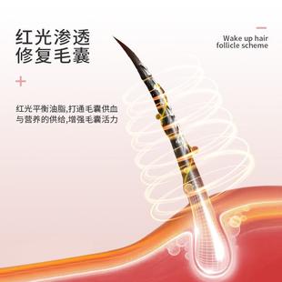 上EMS微电流电动摩按仪梳负离子生发液导入头皮按摩药器VSX养发