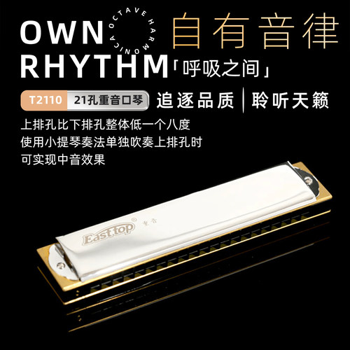 专业重音口琴演奏12个调性T2110
