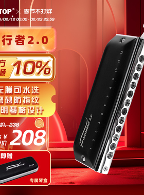 东方鼎先行者12孔无膜半音阶口琴C调T1248NV学生用入门专业演奏