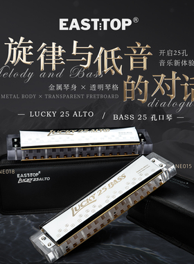 25孔幸运25低音NE015中音NE018贝斯合奏口琴