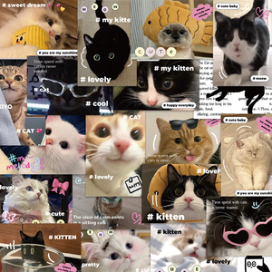 64张ins风韩系可爱猫咪贴纸手账本素材手机壳diy水杯方式装饰贴画