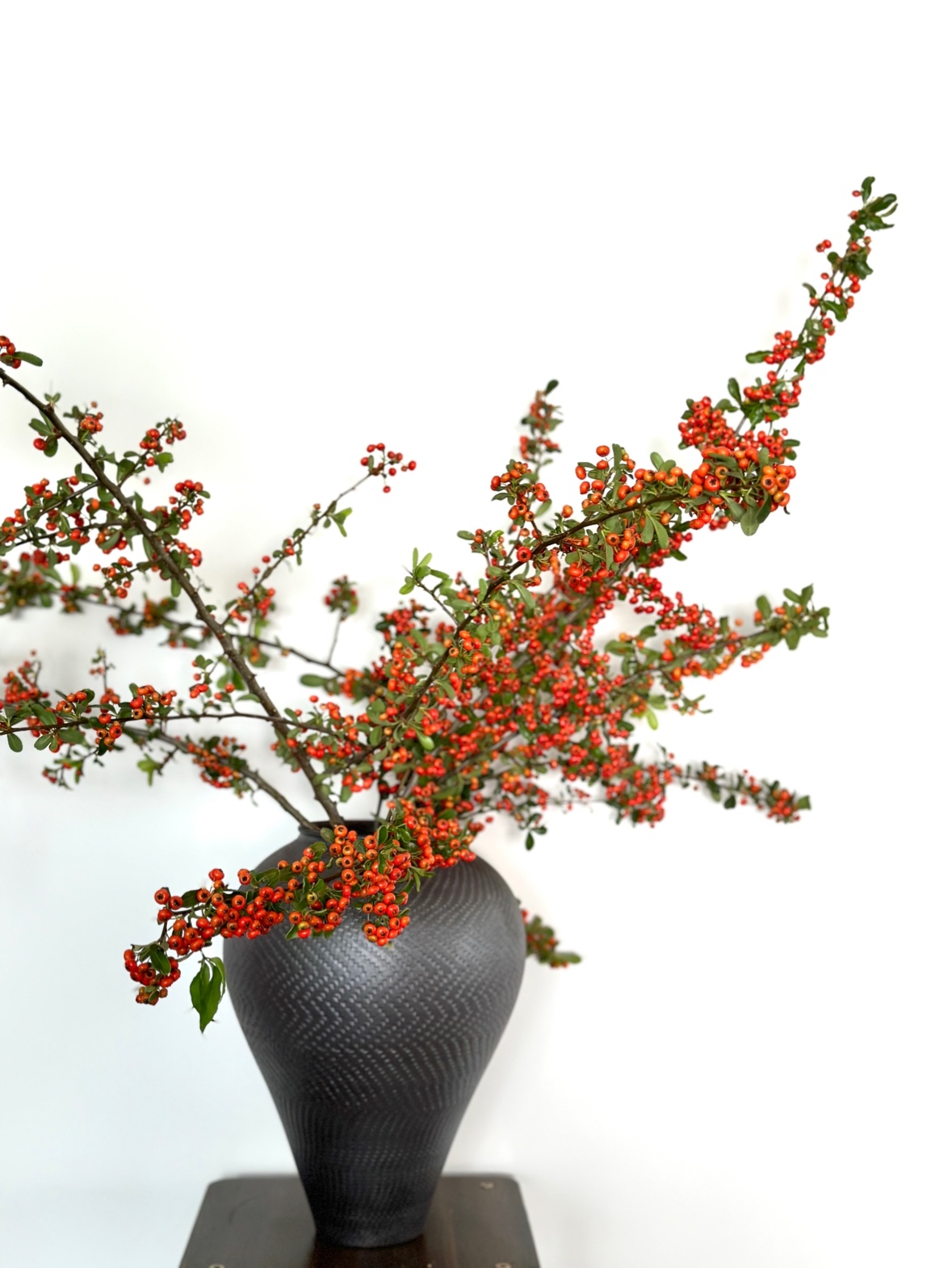 云山花卉【火棘果】小冬青山冬青室内水培插花中式意境感插花