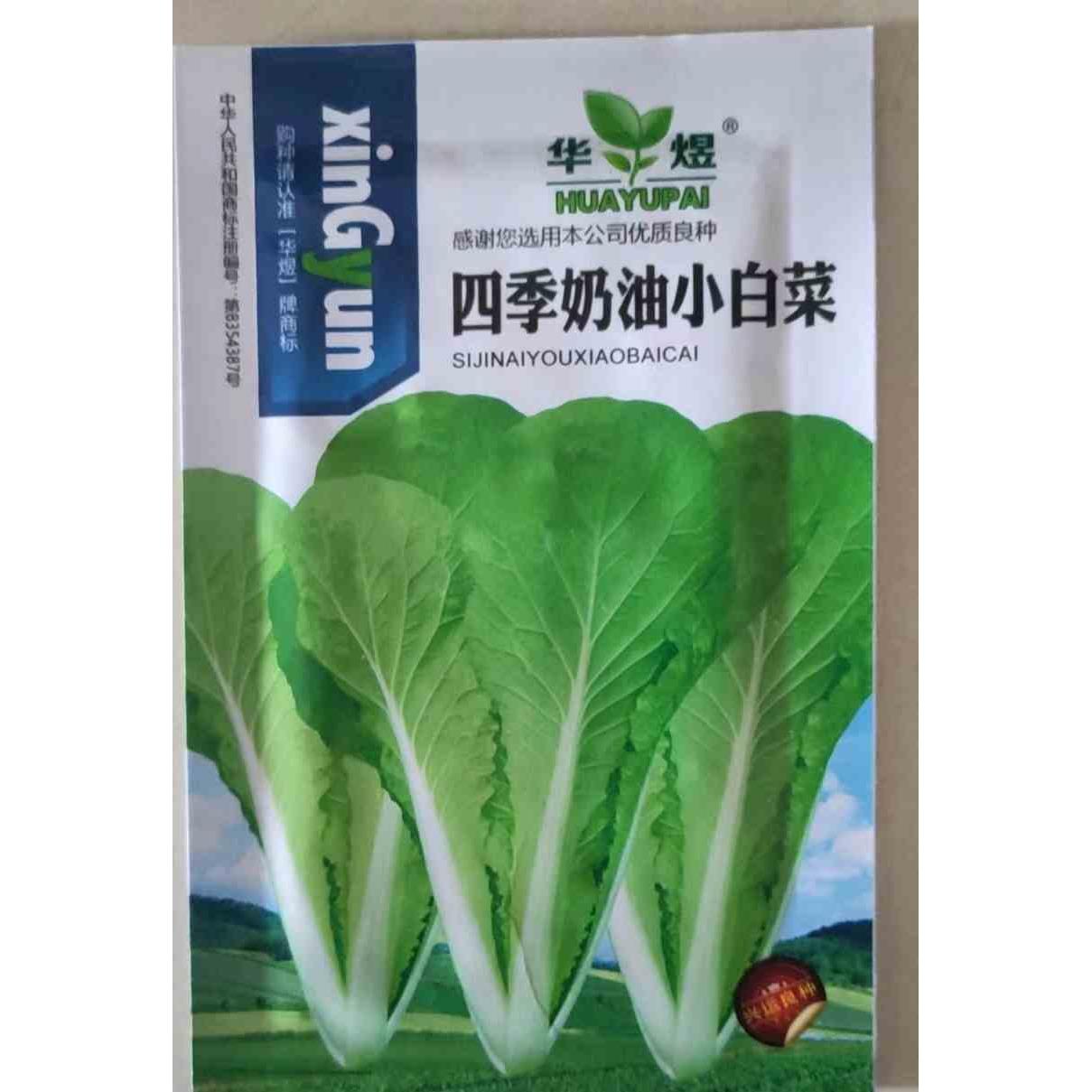 奶油白菜快菜小白菜种子种籽四季阳台盆栽孑蔬菜仔春夏秋叶菜