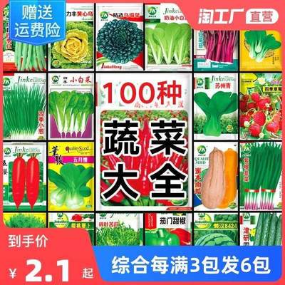 阳台四季蔬菜种子1室内盆栽香菜、菠菜、白菜、四季高产易种