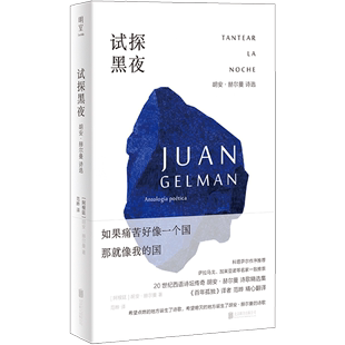 20世纪西语诗歌巨擘 试探黑夜 外国诗歌 尊严储存人 百年孤独译者范晔编译 希望 用诗歌捍卫人 胡安·赫尔曼诗选