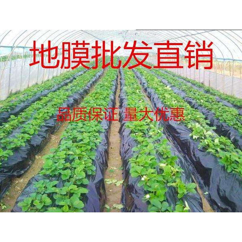 速发温室大农棚 薄膜用t塑料布黑白大棚地膜农家草莓园