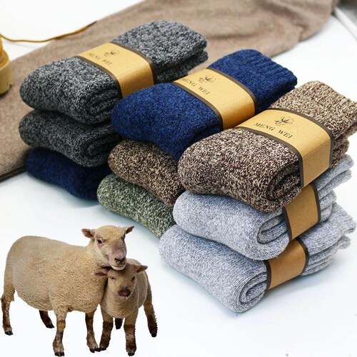 WinterM'solSockupThar