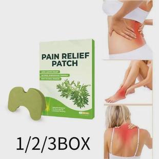 Wormwood Pain Care Pla Health 3Box Sticker Relieving