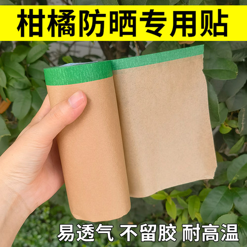 柑橘防晒贴纸脐橙水果晒伤修复