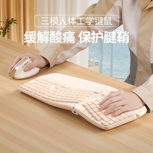 COEP人体工学三模无线蓝牙键盘鼠标套装 可充电适用华为小米苹果ipad平板专用笔记本电脑静音保护腱鞘BOW