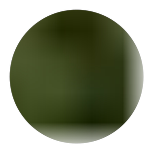 万寿菊花种籽子春播庭院室内室外花坛道路绿化景观花种子易活花籽