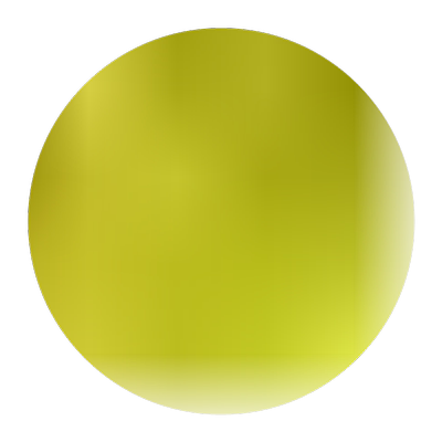 柠条种子护坡灌木草籽锦鸡儿白柠条种籽固沙保土树种简单绿化