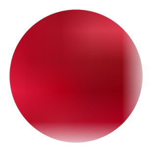 欧石竹初吻花籽五彩石竹种子四季易活石竹常夏石竹美国石竹花种籽