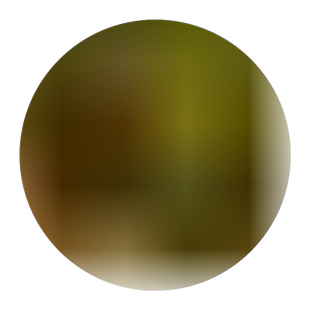 红地肤种子绿地肤扫帚草花籽盆栽植庭院植物观四季播种花种籽子