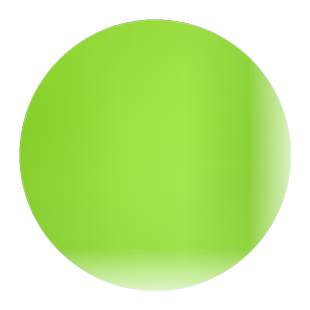 佛甲草种子佛甲草草籽 草坪种子楼顶屋顶绿化 耐热耐寒耐旱包成活