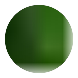 润高拉巴豆牧草种子 固氮 抗旱 耐贫瘠 防杂草 高值改土 绿肥