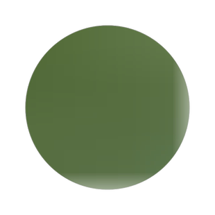 木豆种子 直立灌木 树豆 柳豆 豆蓉 树黄豆 三叶豆种子 四季播种